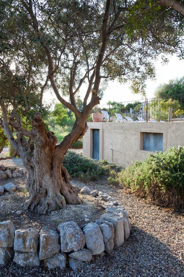 Hotel Can Riera Moscari Exterior photo
